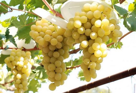 изображение фото: Италия фото: Италия