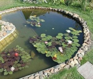 фото готовый бетонный пруд