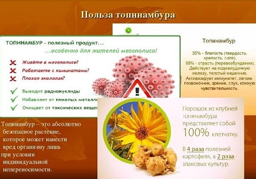 фото: топинамбур - польза