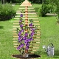 изображение фото: опора для цветов из дерева фото: опора для цветов из дерева