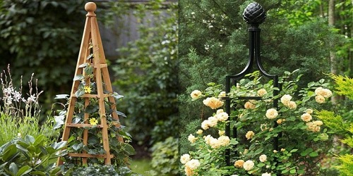 изображение фото: опора для цветов - деревянная, металлическая фото: опора для цветов - деревянная, металлическая