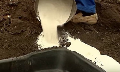 изображение фото: оформляем прибрежную зону декоративного пруда фото: оформляем прибрежную зону декоративного пруда